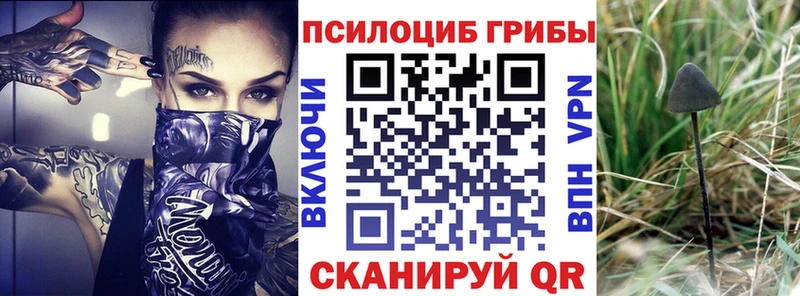 Галлюциногенные грибы Magic Shrooms  Почеп 